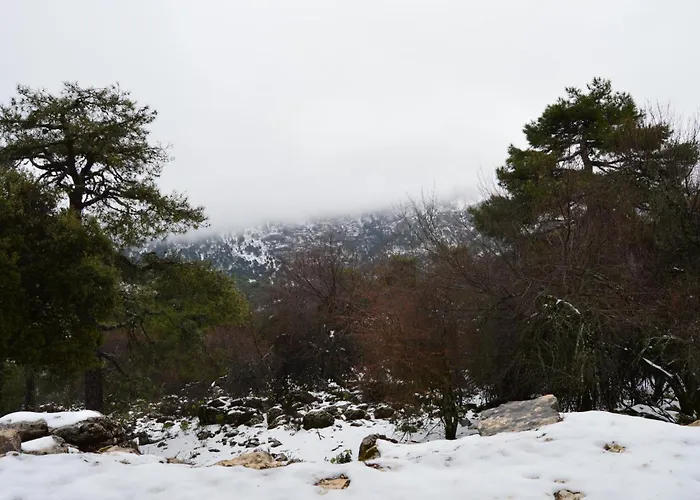 Vivienda Rural El Penon De Los Primillas